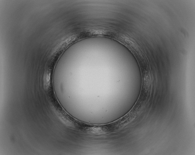 X0000115120406200911101630