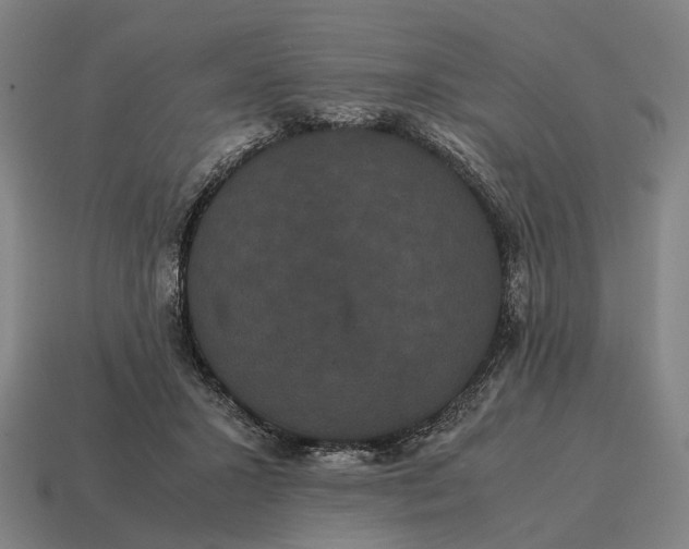X0000115120407200911101630