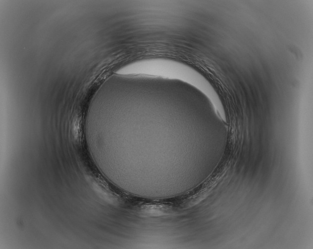 X0000115120408200911101630