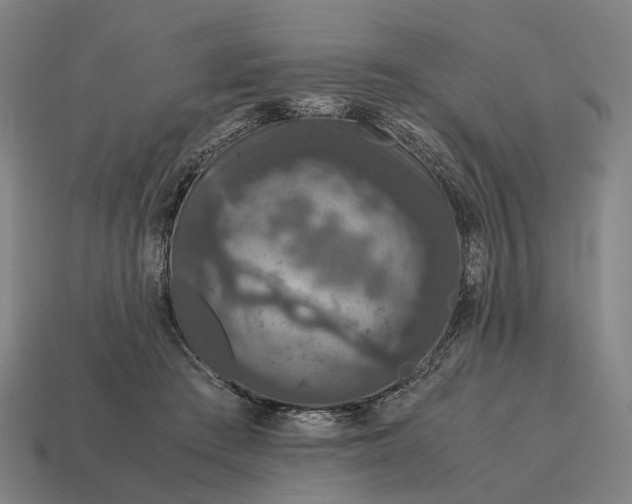 X0000115120409200911101630