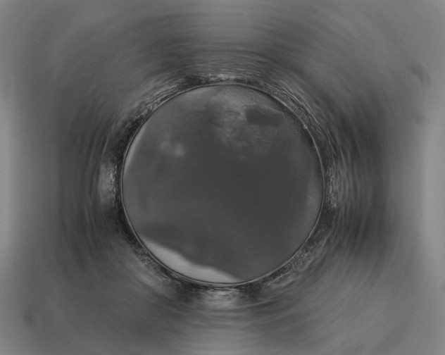 X0000115120410200911101630