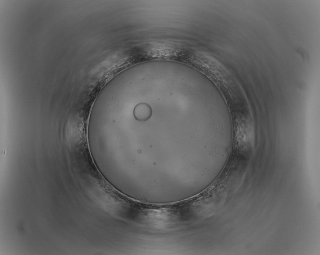 X0000115120411200911101630
