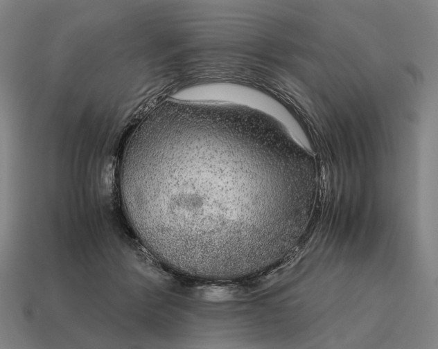 X0000115120412200911101630