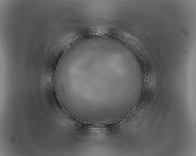 X0000115120415200911101630