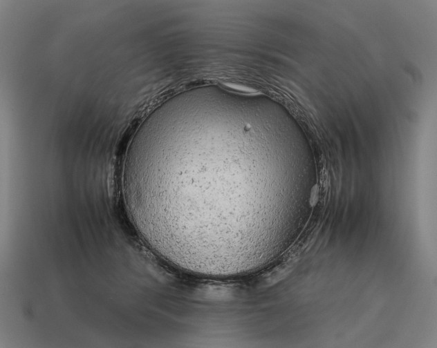 X0000115120416200911101630