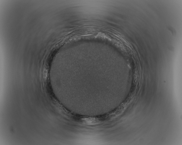 X0000115120417200911101630