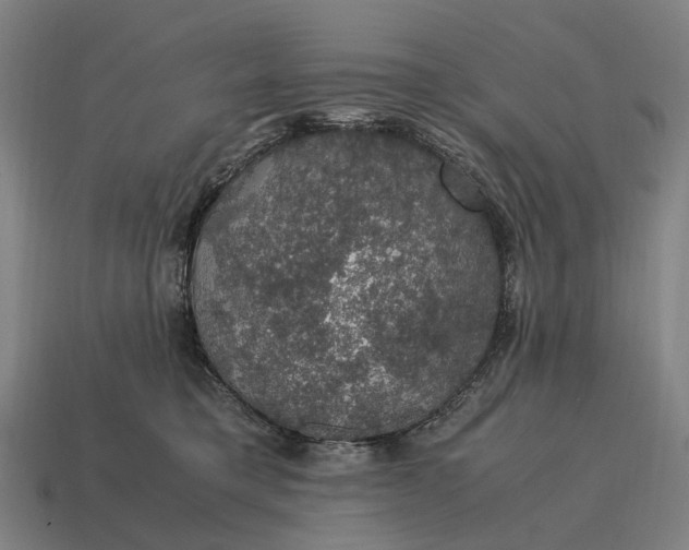 X0000115120421200911101630