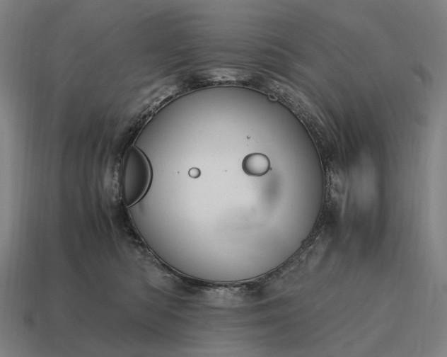 X0000115120422200911101630