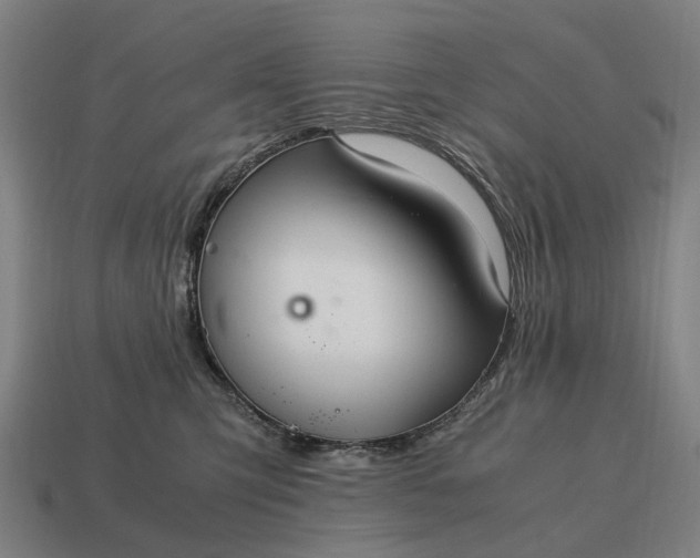X0000115120423200911101630