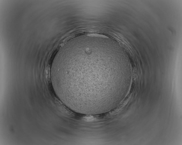 X0000115120425200911101630
