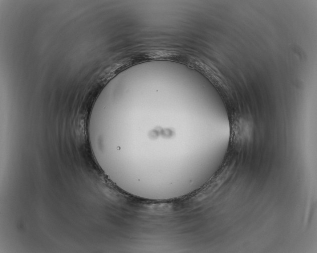 X0000115120426200911101630