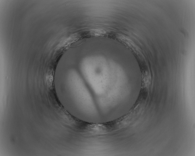 X0000115120427200911101630