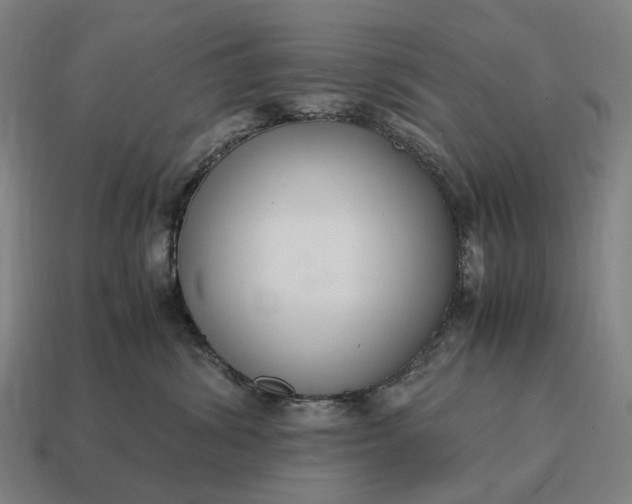 X0000115120428200911101630