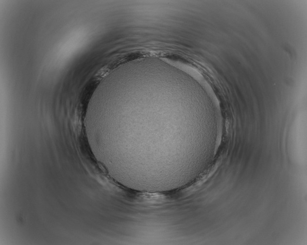 X0000115120429200911101630