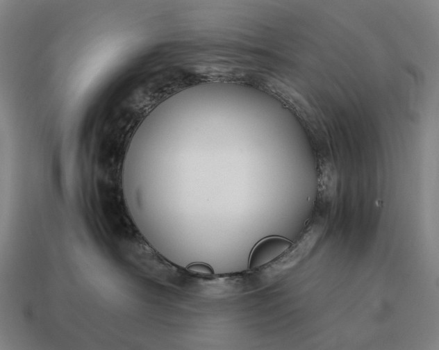 X0000115120430200911101630