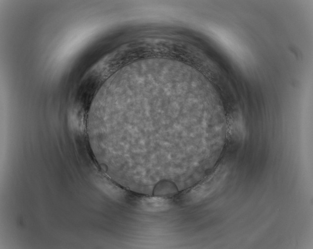 X0000115120431200911101630
