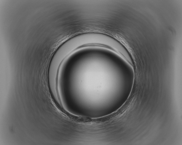 X0000115120433200911101629