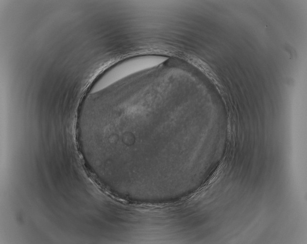 X0000115120434200911101629