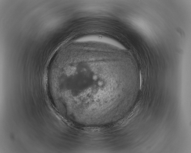 X0000115120435200911101629