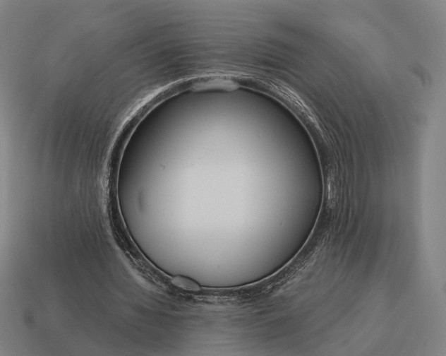 X0000115120436200911101629