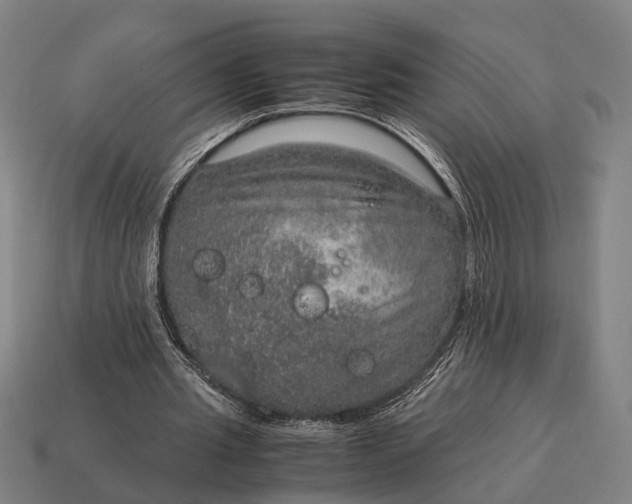 X0000115120437200911101629