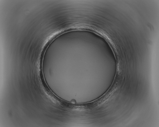 X0000115120438200911101629