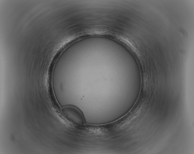 X0000115120439200911101629