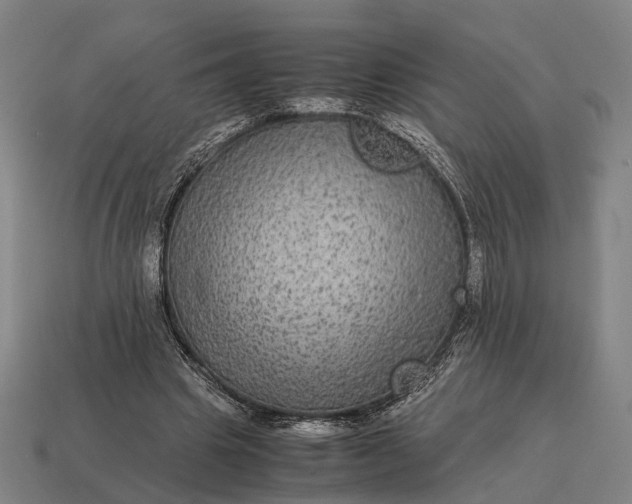 X0000115120441200911101629