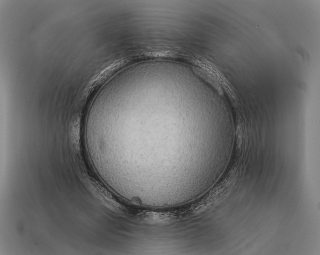 X0000115120442200911101629