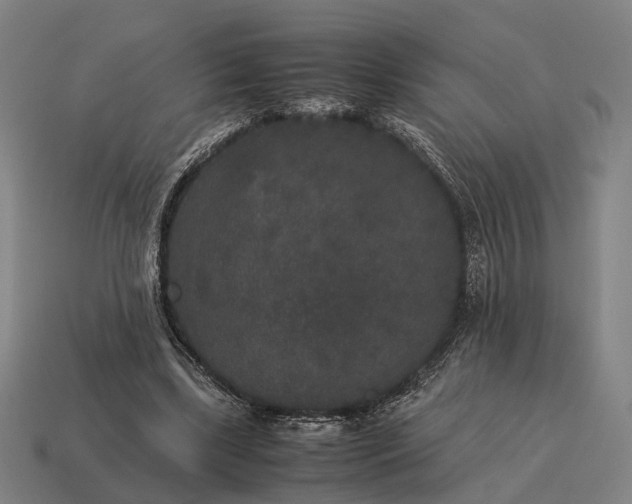 X0000115120443200911101629