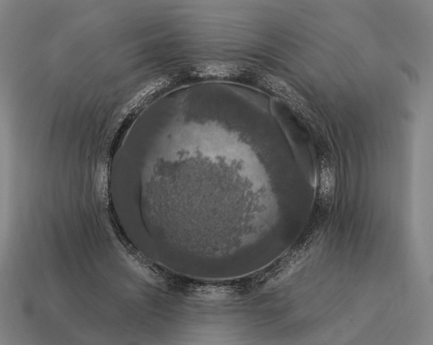 X0000115120444200911101629