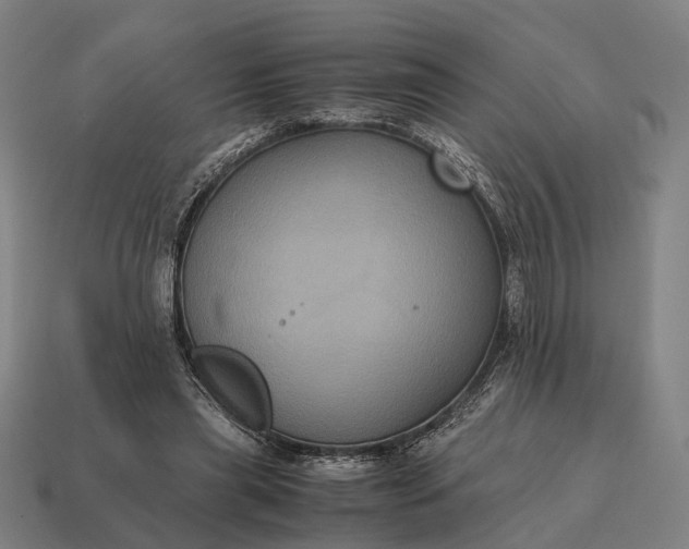 X0000115120445200911101629