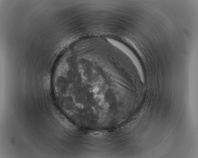 X0000115120447200911101630