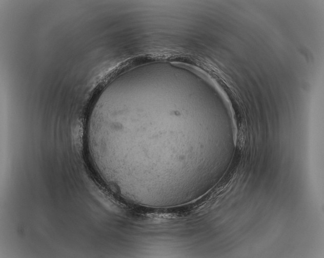 X0000115120448200911101630