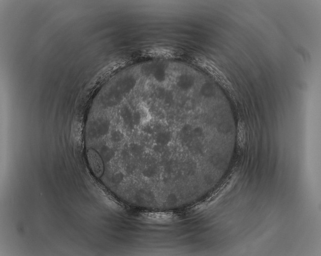 X0000115120449200911101630