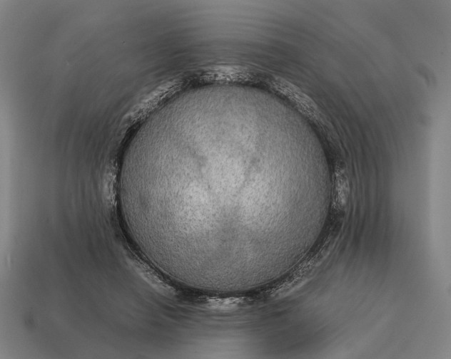 X0000115120450200911101630