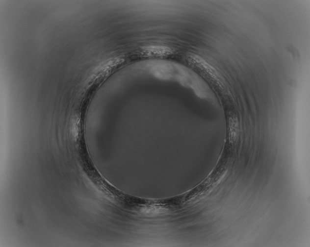 X0000115120451200911101630