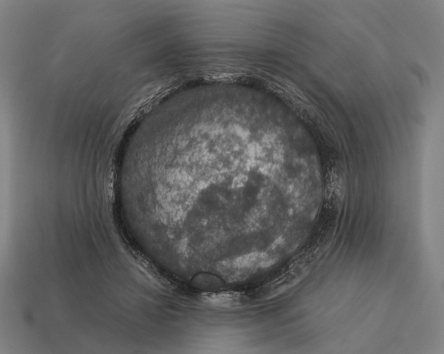 X0000115120452200911101630