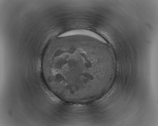 X0000115120453200911101630