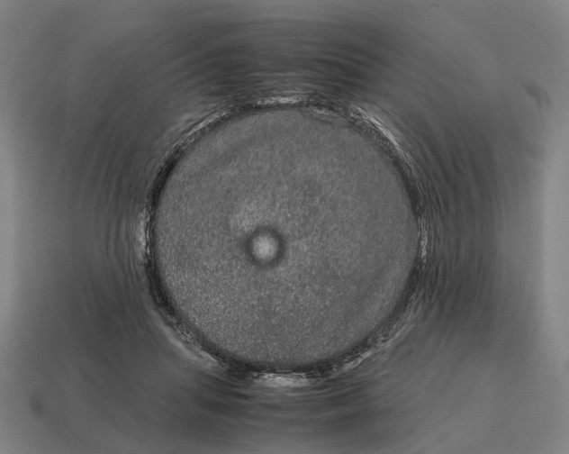 X0000115120455200911101630