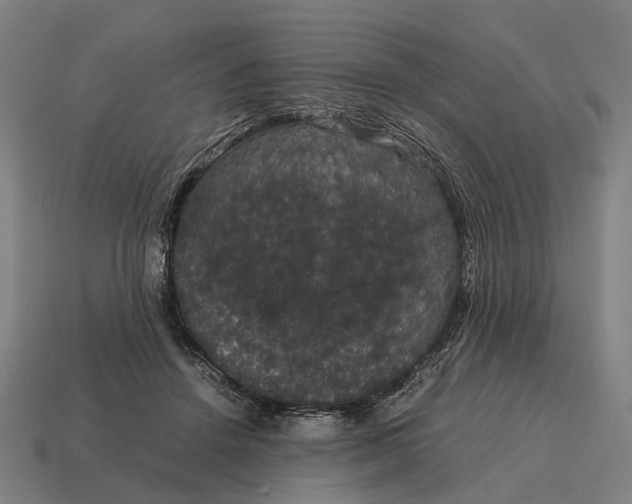 X0000115120456200911101630