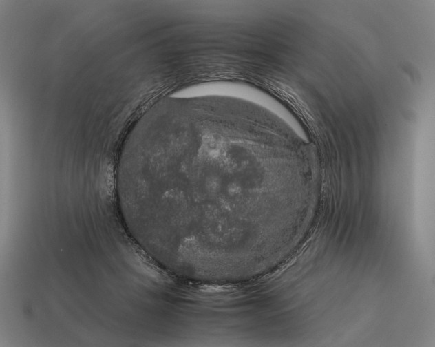 X0000115120457200911101630