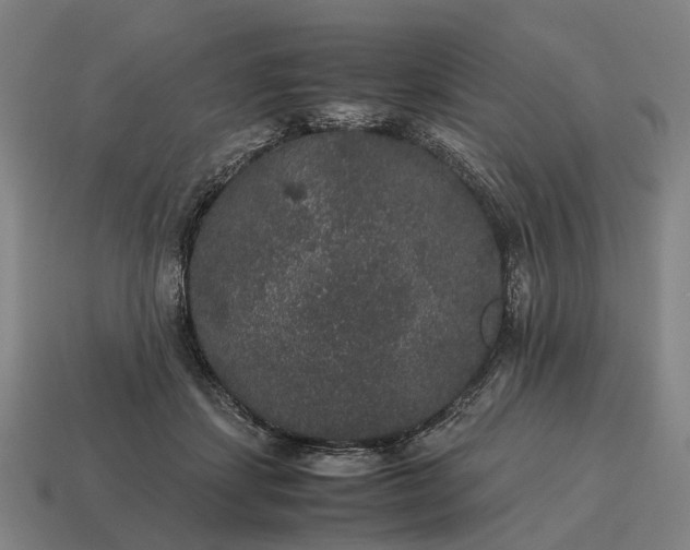 X0000115120459200911101630