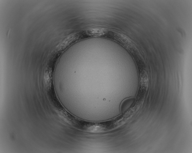 X0000115120460200911101630