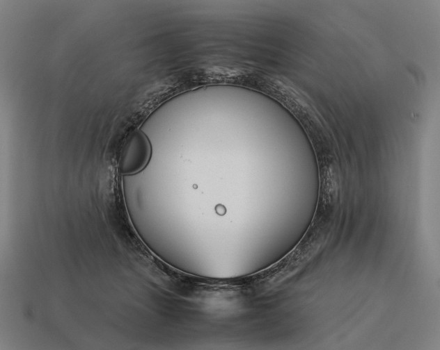 X0000115120463200911101630