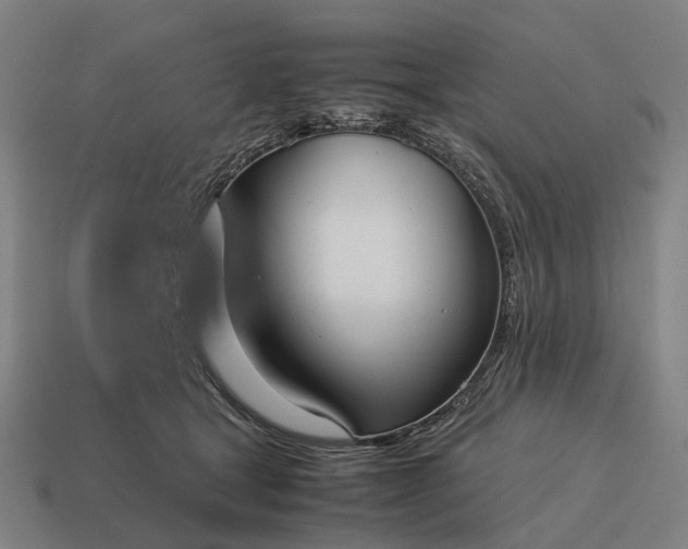 X0000115120465200911101630