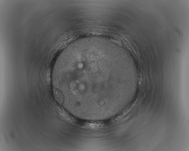 X0000115120466200911101630