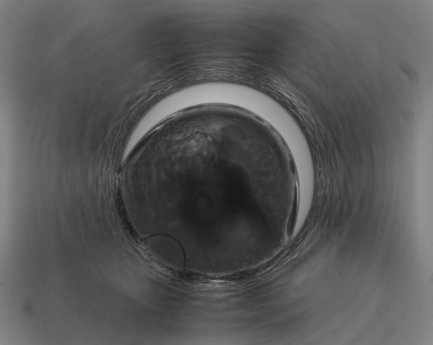 X0000115120467200911101630