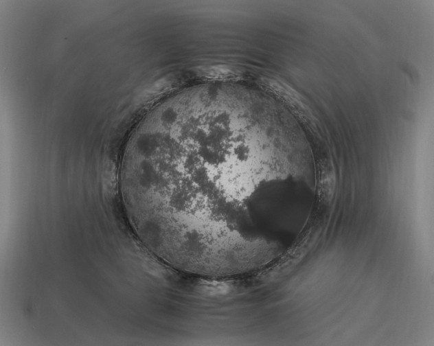X0000115120469200911101630