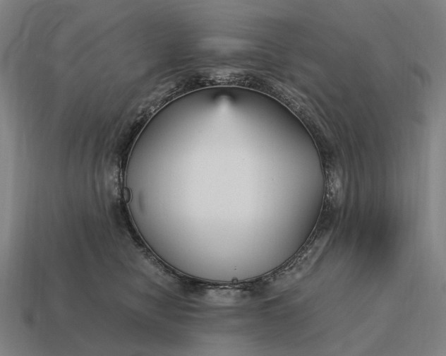 X0000115120470200911101630